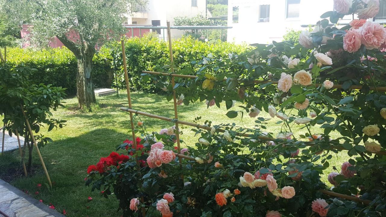 Villa Ema Ρόβινι Εξωτερικό φωτογραφία